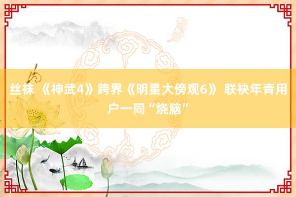 丝袜 《神武4》跨界《明星大傍观6》 联袂年青用户一同“烧脑”