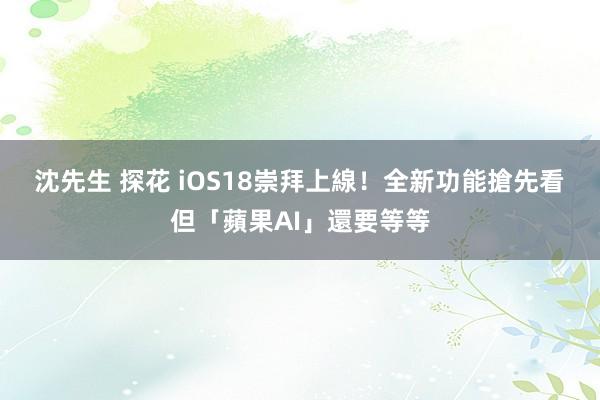 沈先生 探花 iOS18崇拜上線！全新功能搶先看　但「蘋果AI」還要等等